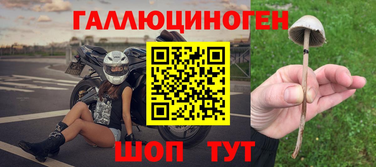 Галлюциногенные грибы Psilocybe Волгодонск